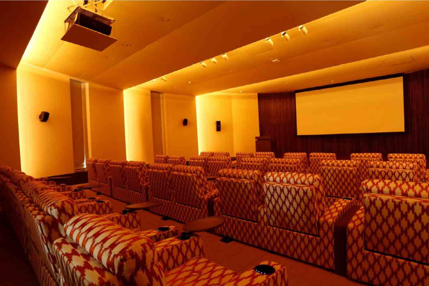 Theater / AV Room